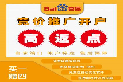 某某企业SEM营销案例：从SEM到全渠道营销的转型之路